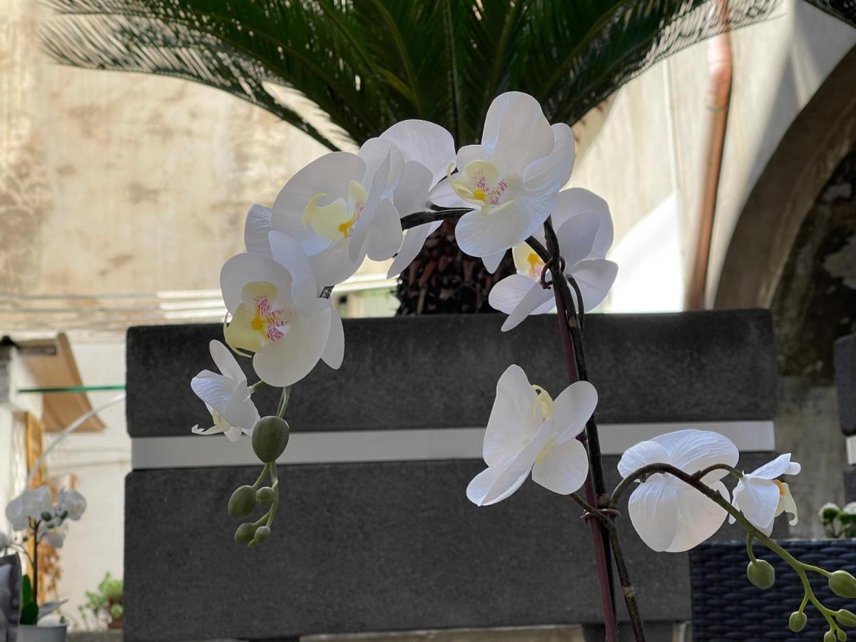 Residenza Spinelli Apartment Napoli Exterior foto